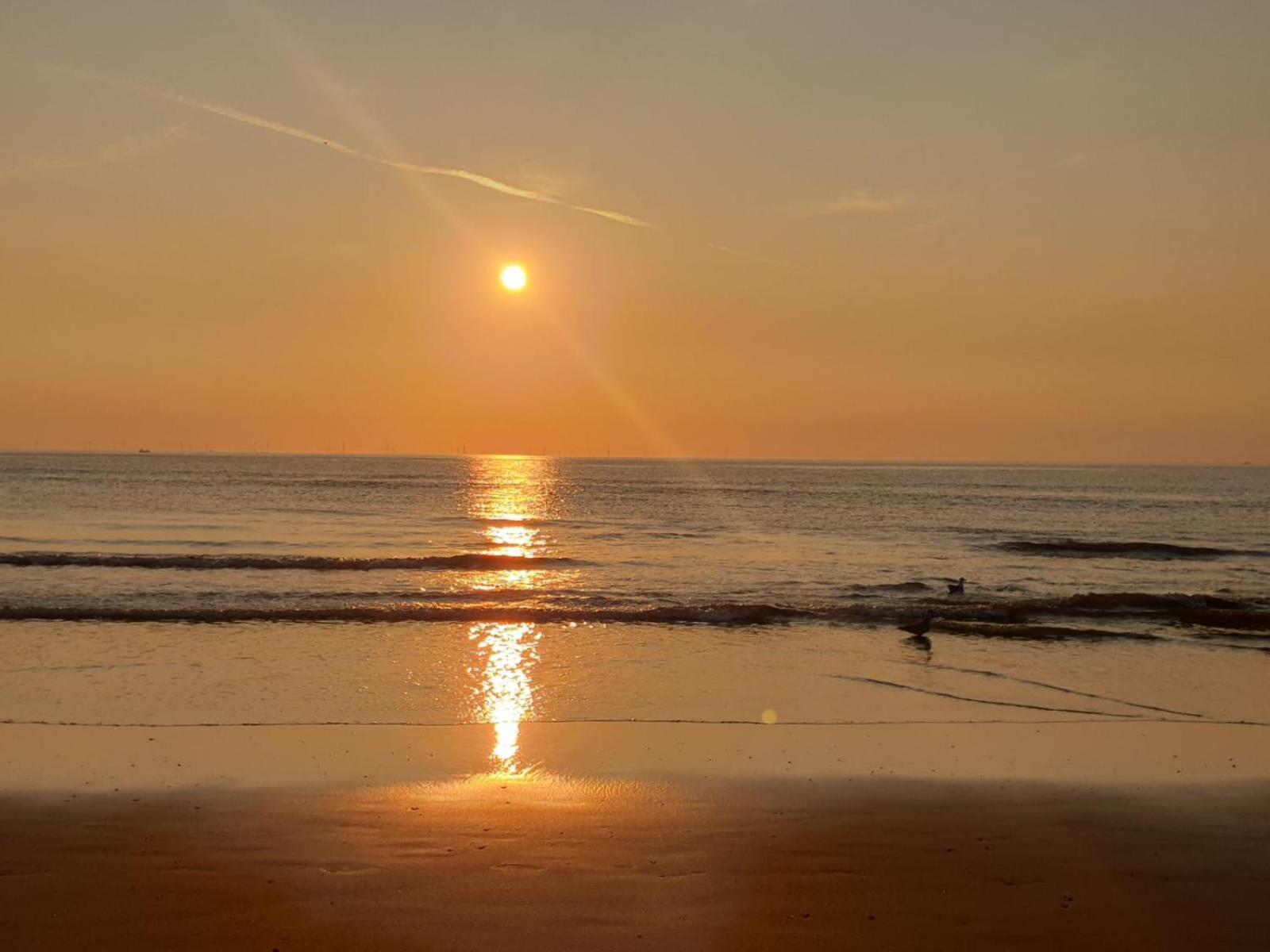 Beach-House27 Egmond aan Zee Luaran gambar